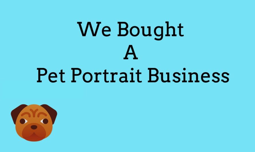 We Bought A Pet Portrait Business (you can learn from this)